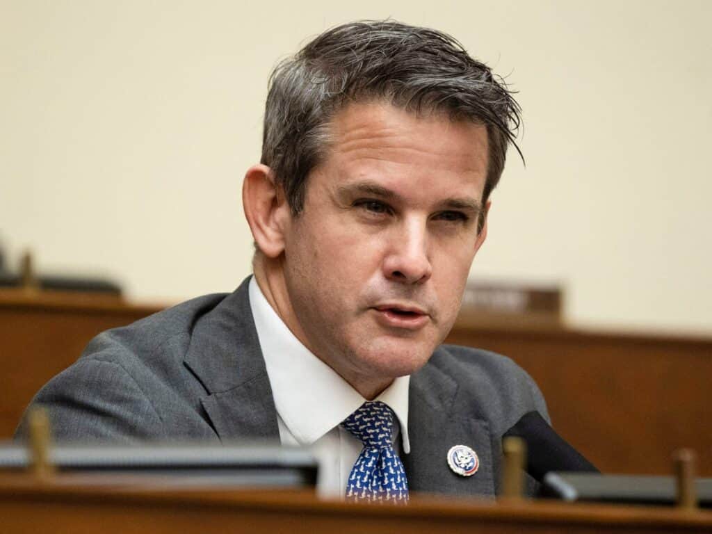 Kinzinger says Republicans who join 'America First' caucus should be stripped of committee assignments.